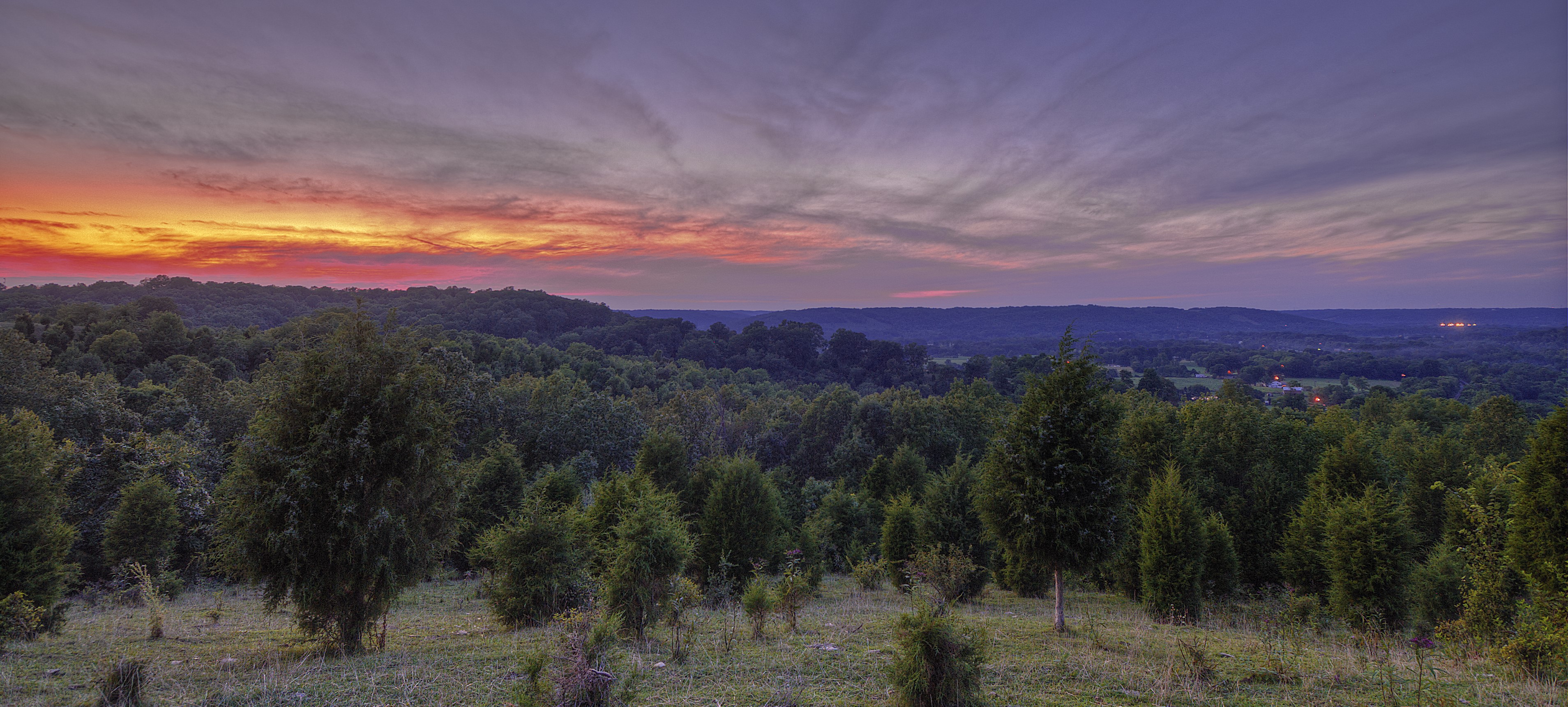 Colorful sunset over cedar forest with field in foreground